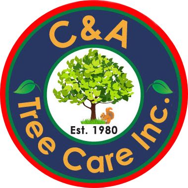 C&A Tree Care Inc